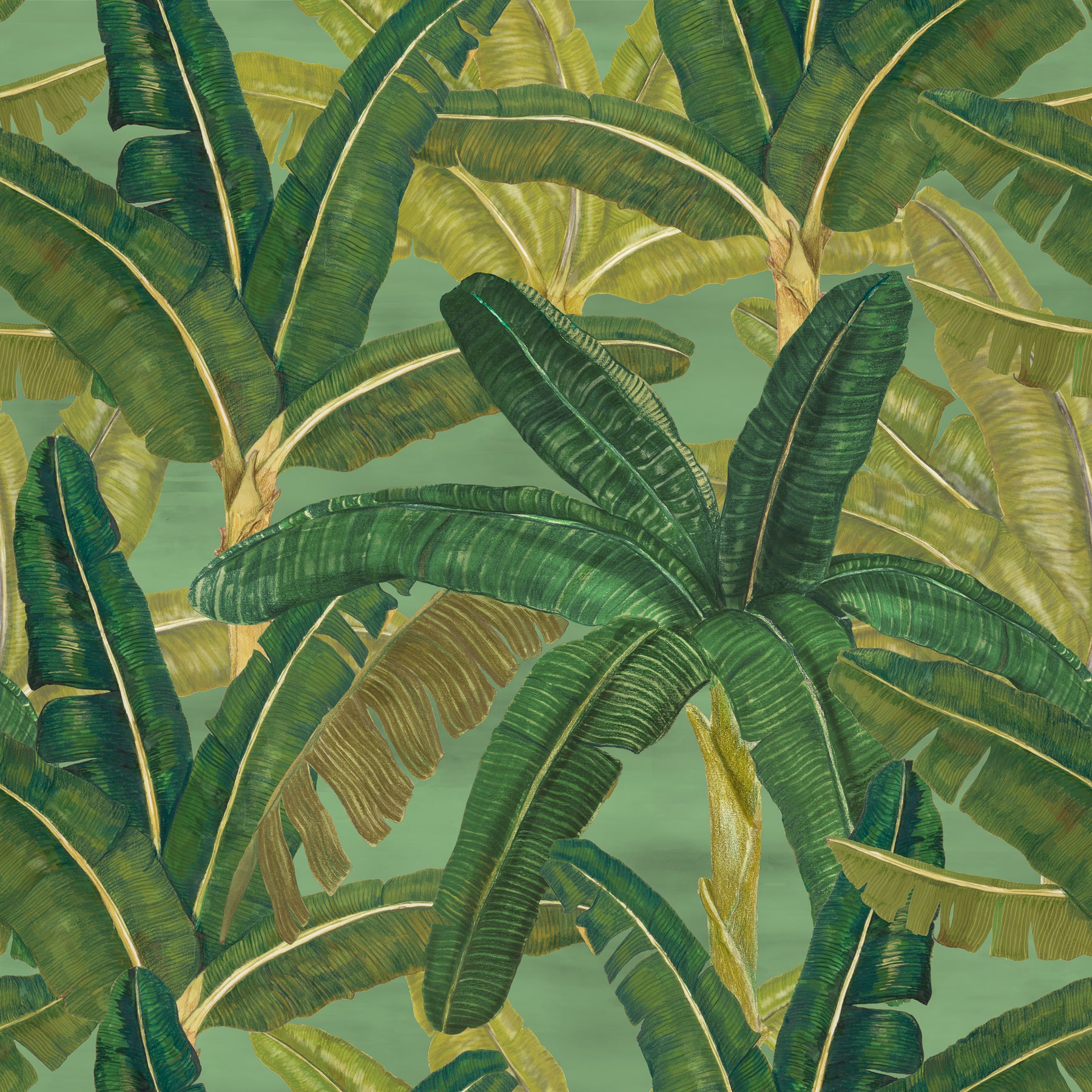 Banana Garden