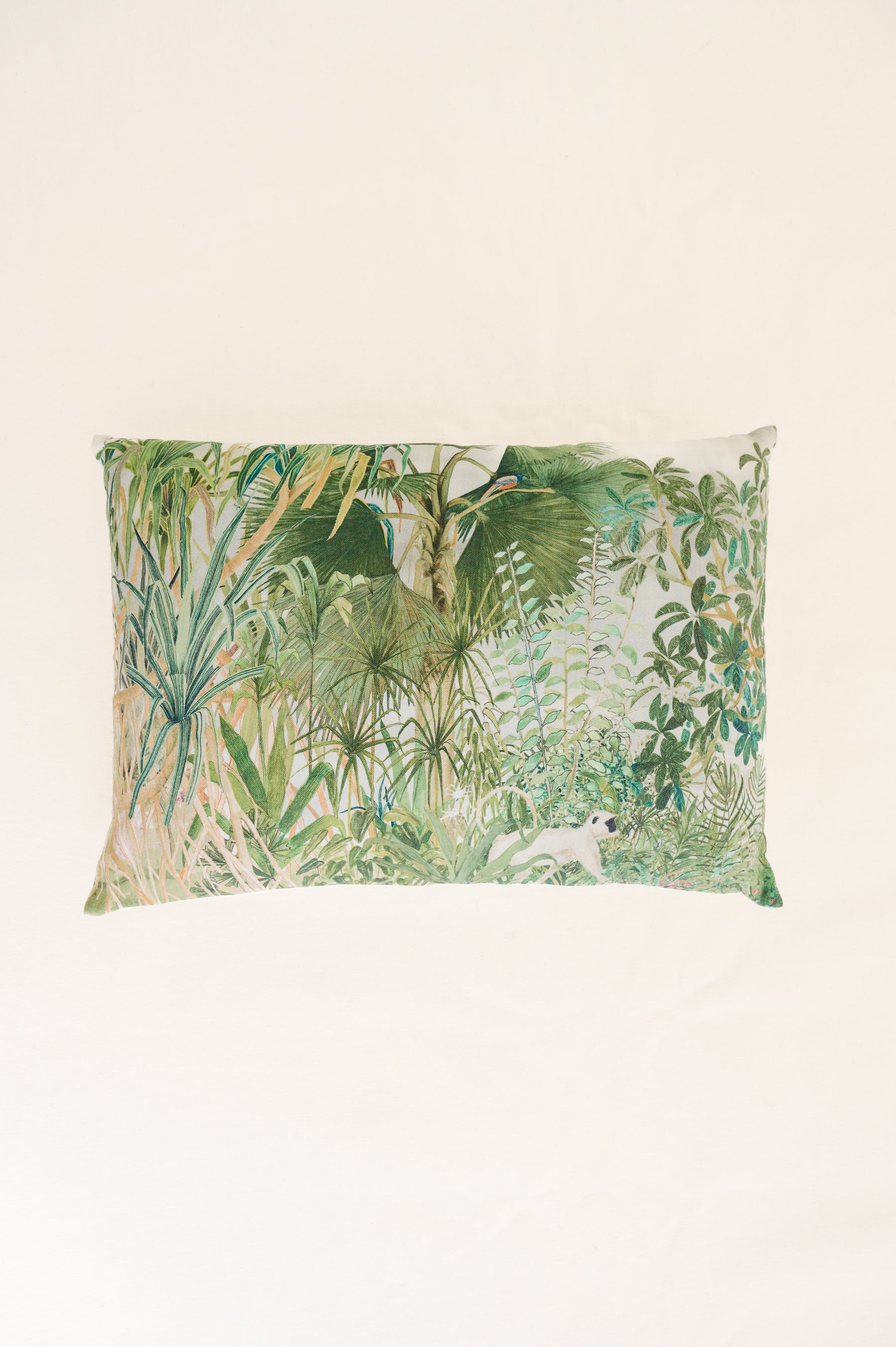 Fan Palm with Malabar Trogon | Cushion Cover