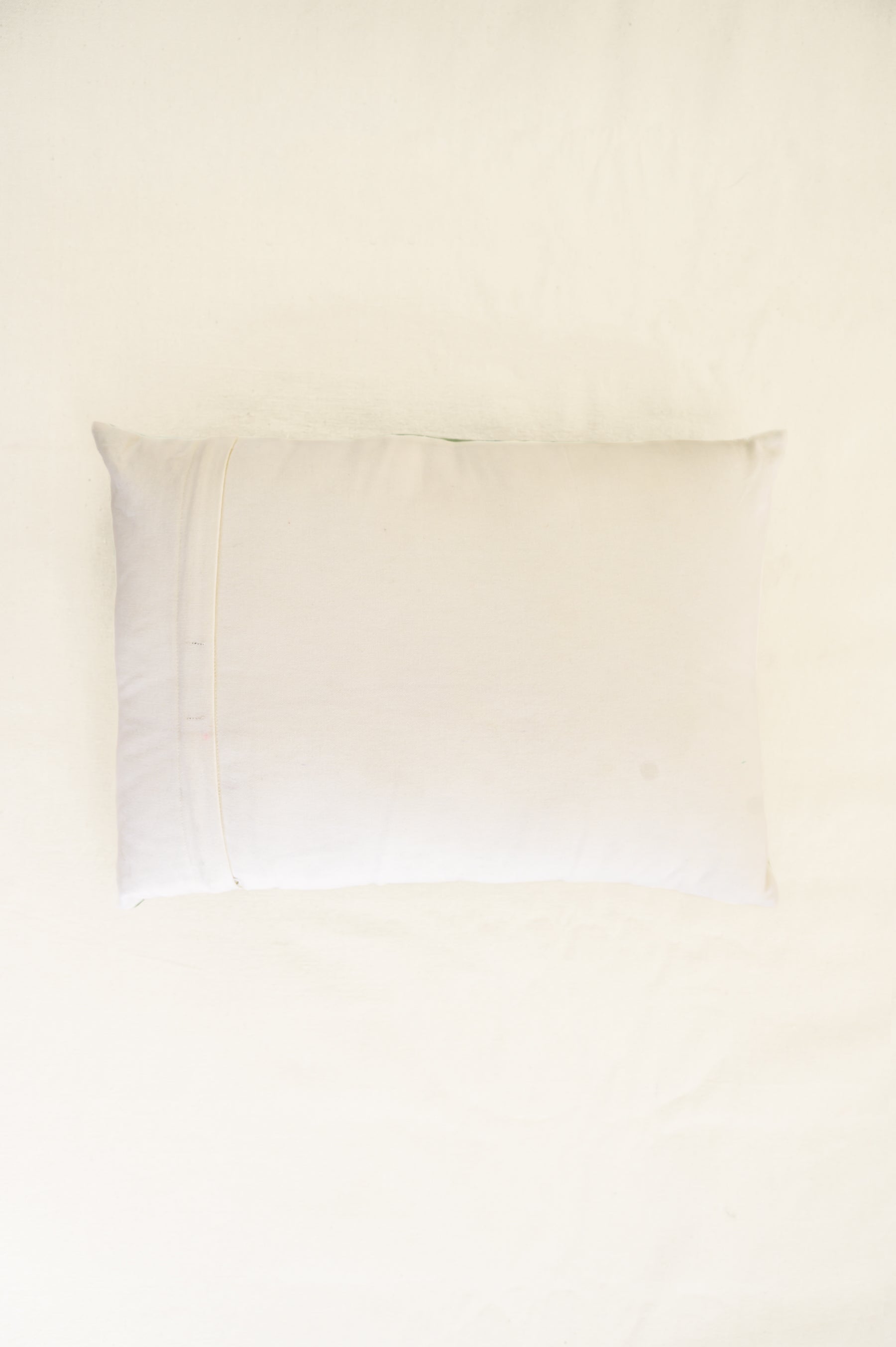 Fan Palm with Malabar Trogon | Cushion Cover