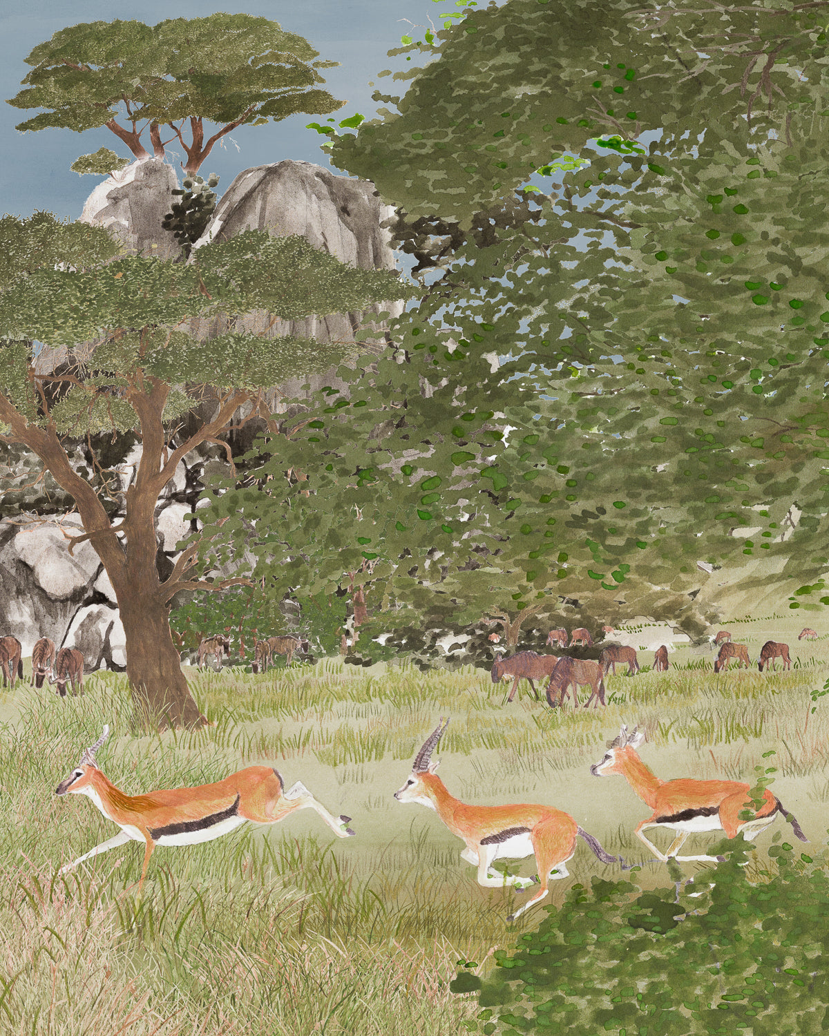 Scenes from the Serengeti