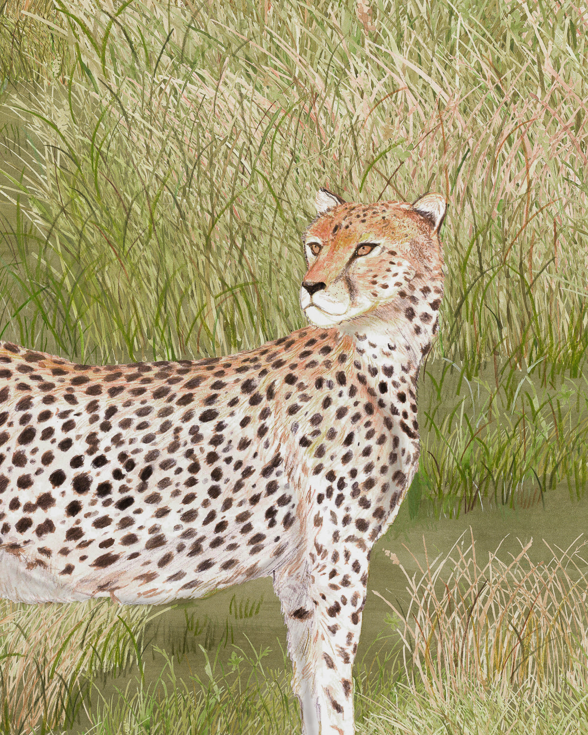 Scenes from the Serengeti