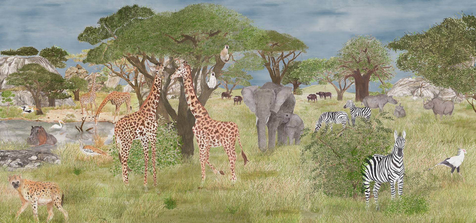Scenes from the Serengeti
