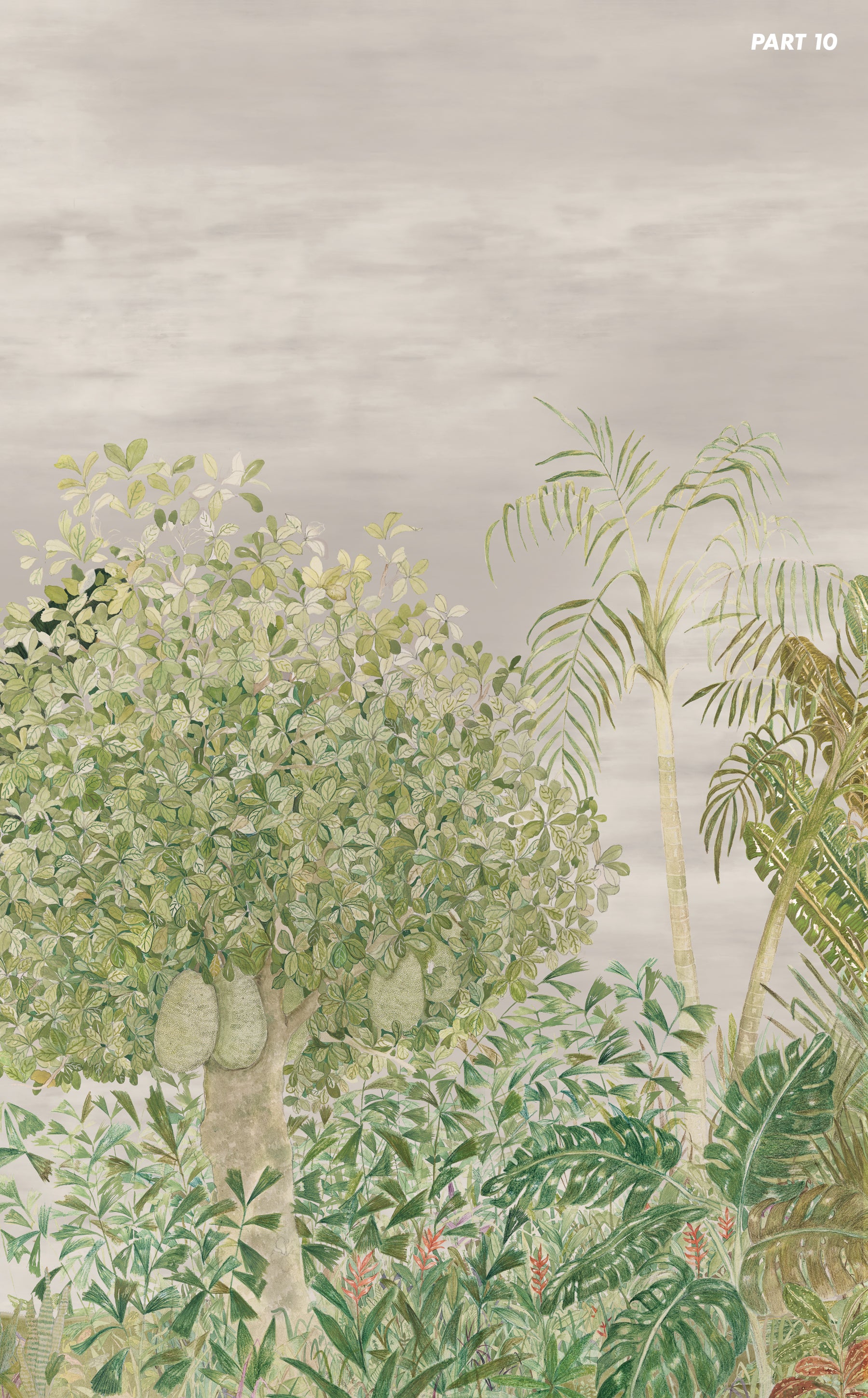 Wild Garden Panorama