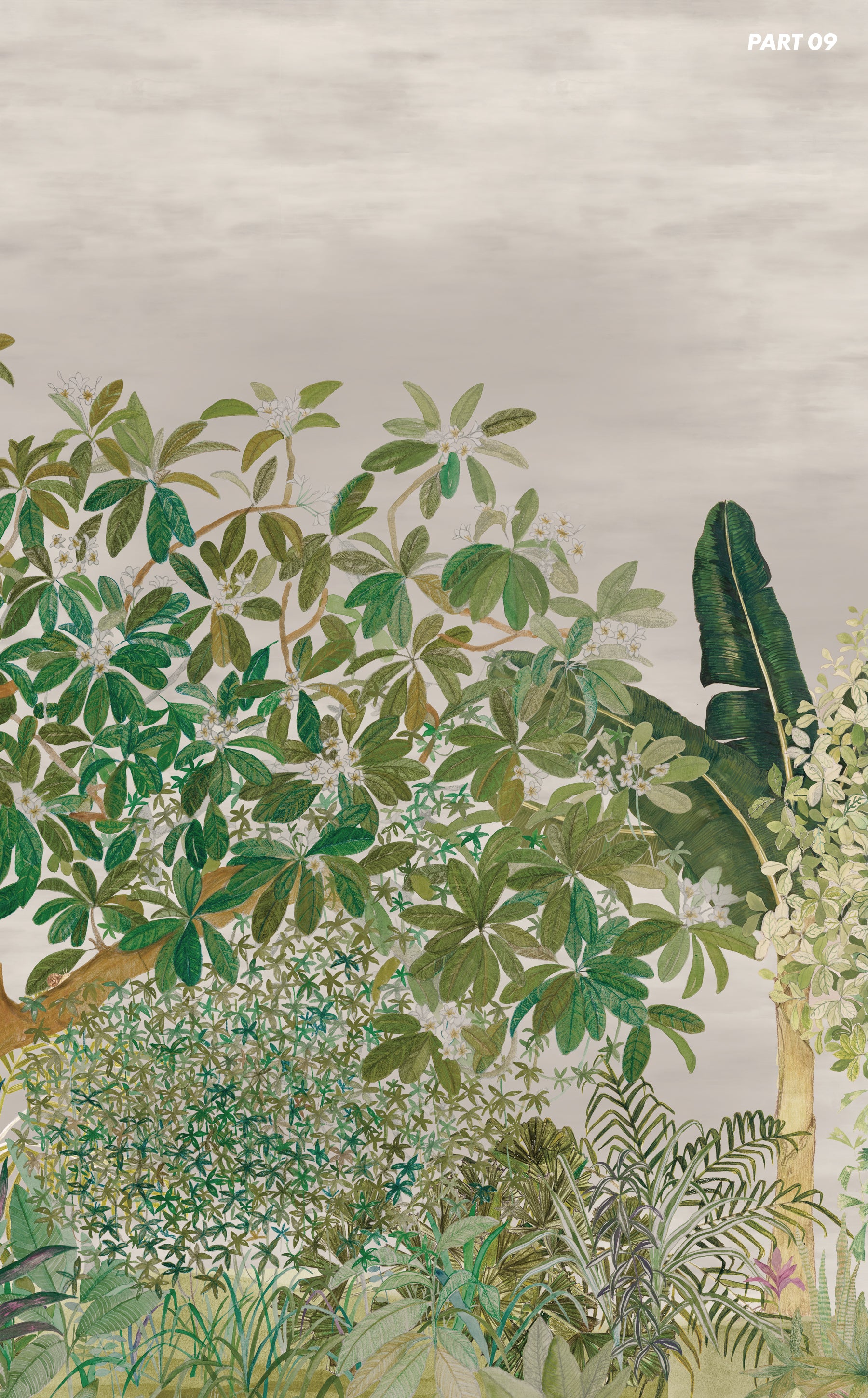 Wild Garden Panorama