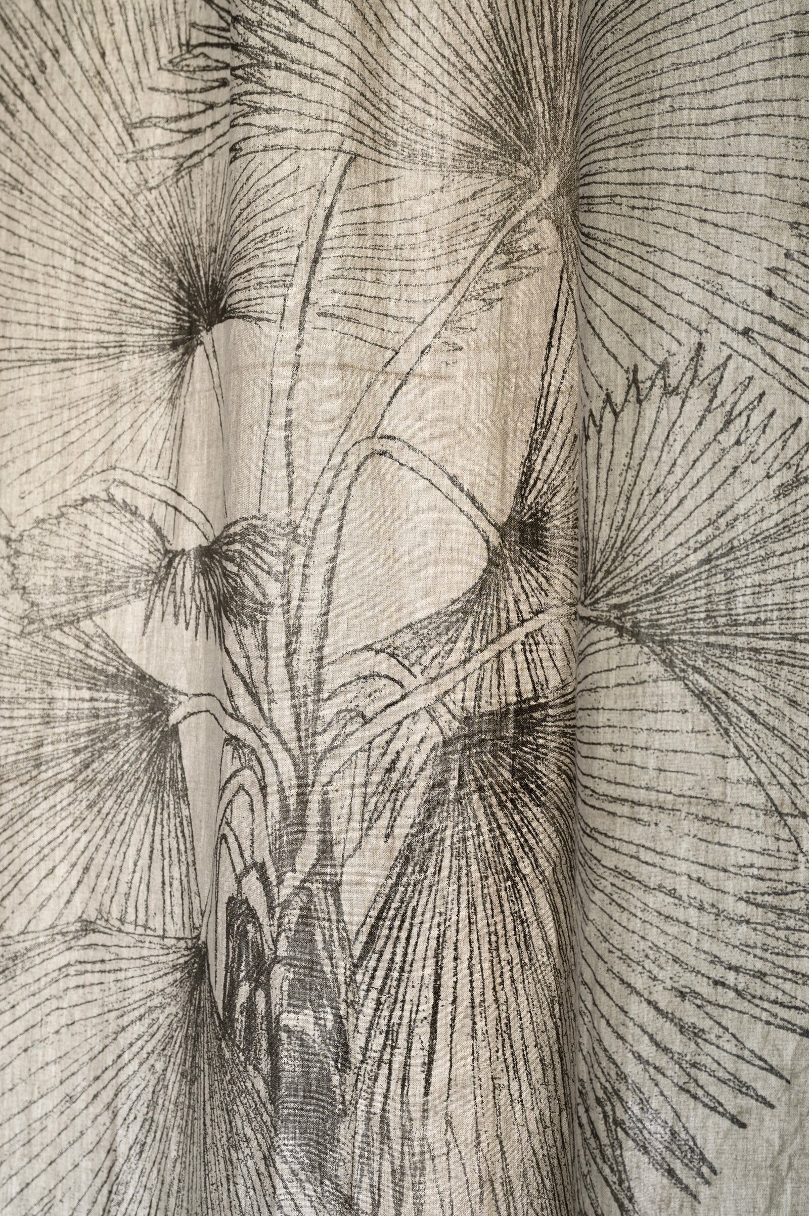 Fan Palm Print | Blinds & Drapery