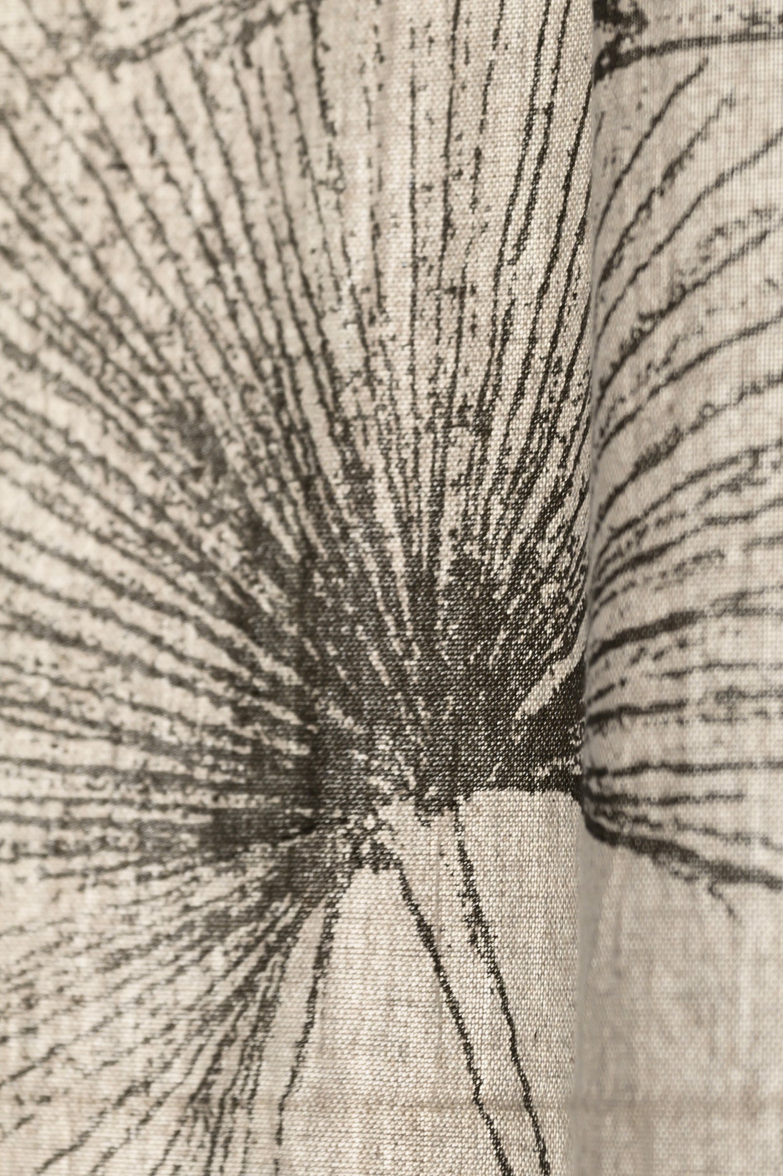 Fan Palm Print | Blinds & Drapery