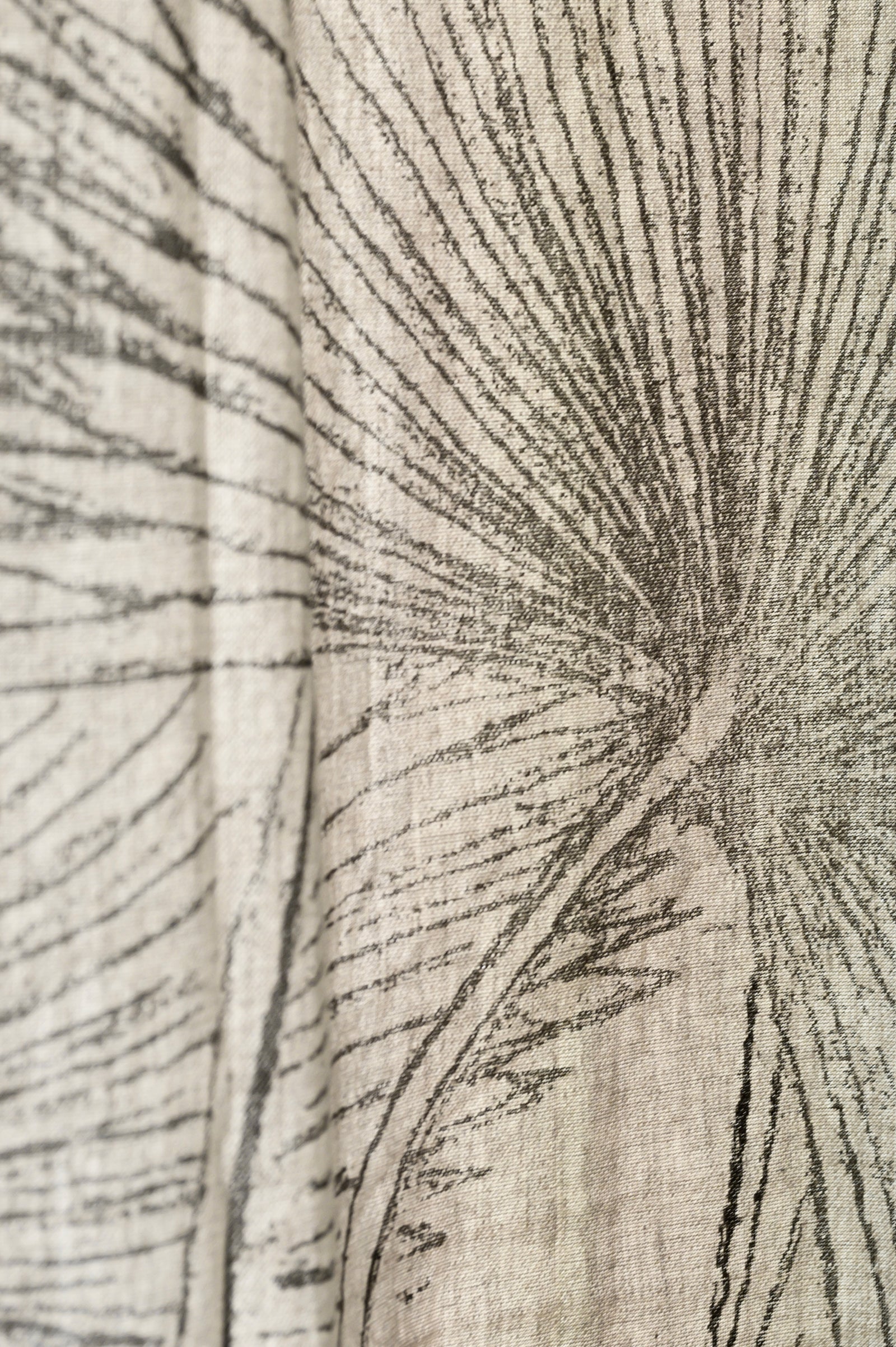 Fan Palm Print | Blinds & Drapery