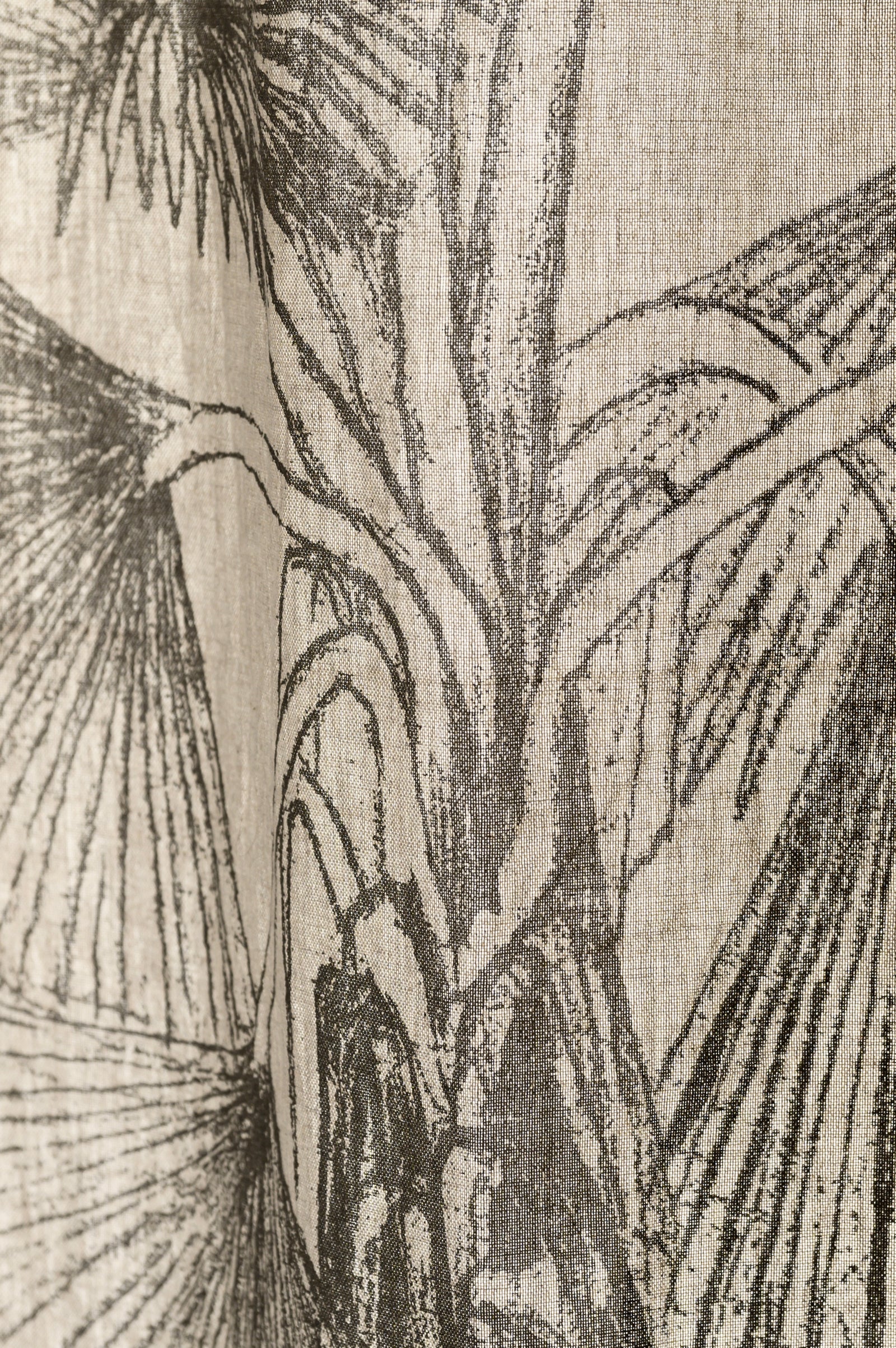 Fan Palm Print | Blinds & Drapery