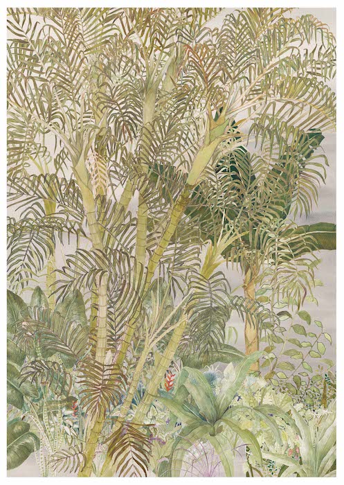 Areca Palm | Art Print