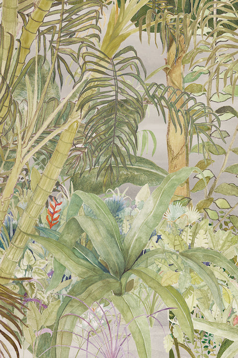 Areca Palm | Art Print