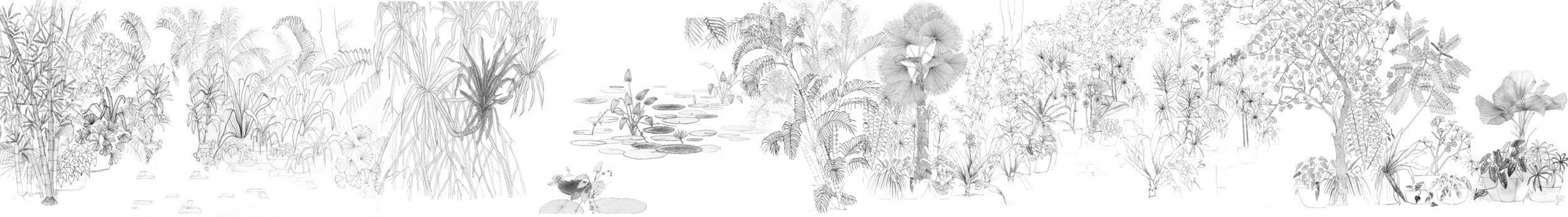 Wildgarden Wallpaper | Monochrome