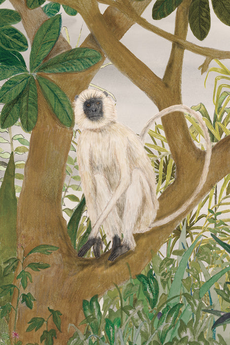 Champa with Langur | Art Print