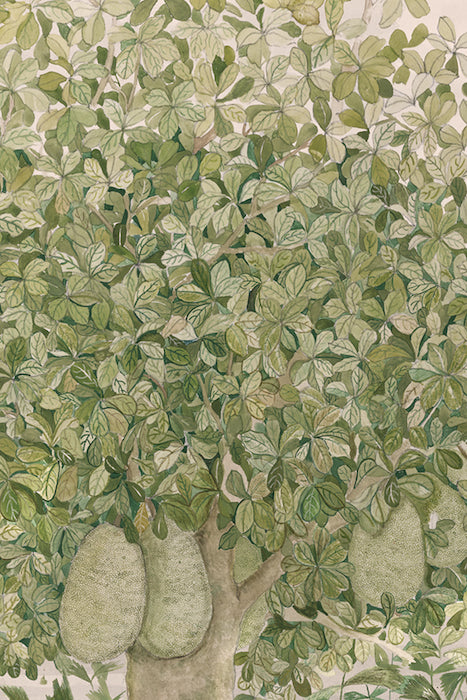 Jackfruit | Art Print