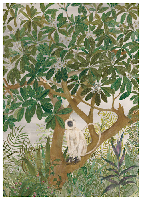 Champa with Langur | Art Print