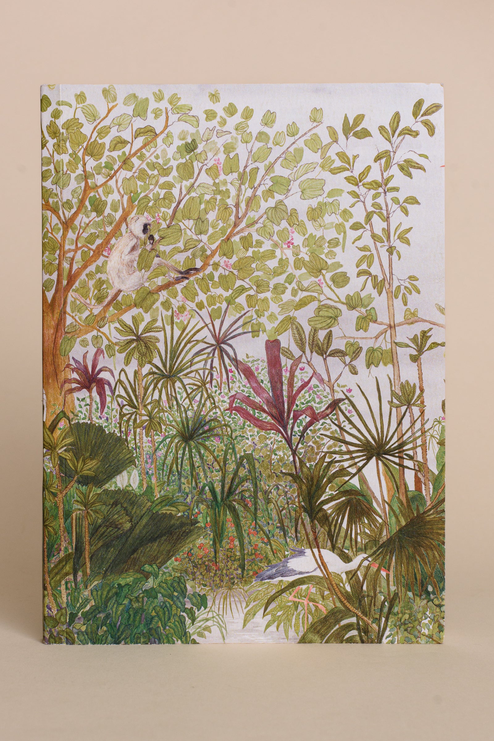 Kachnar with Langur | Notebook