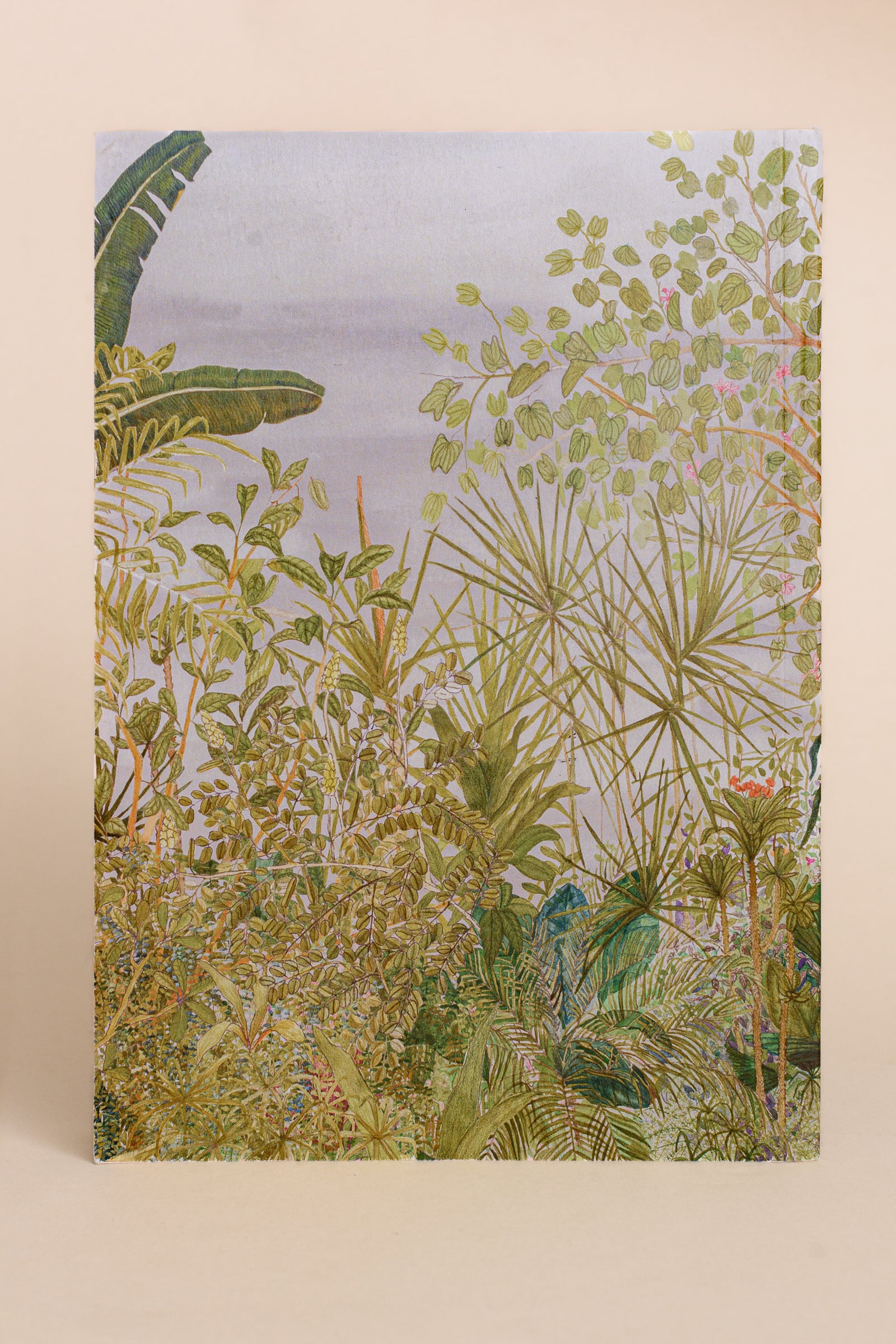 Kachnar with Langur | Notebook