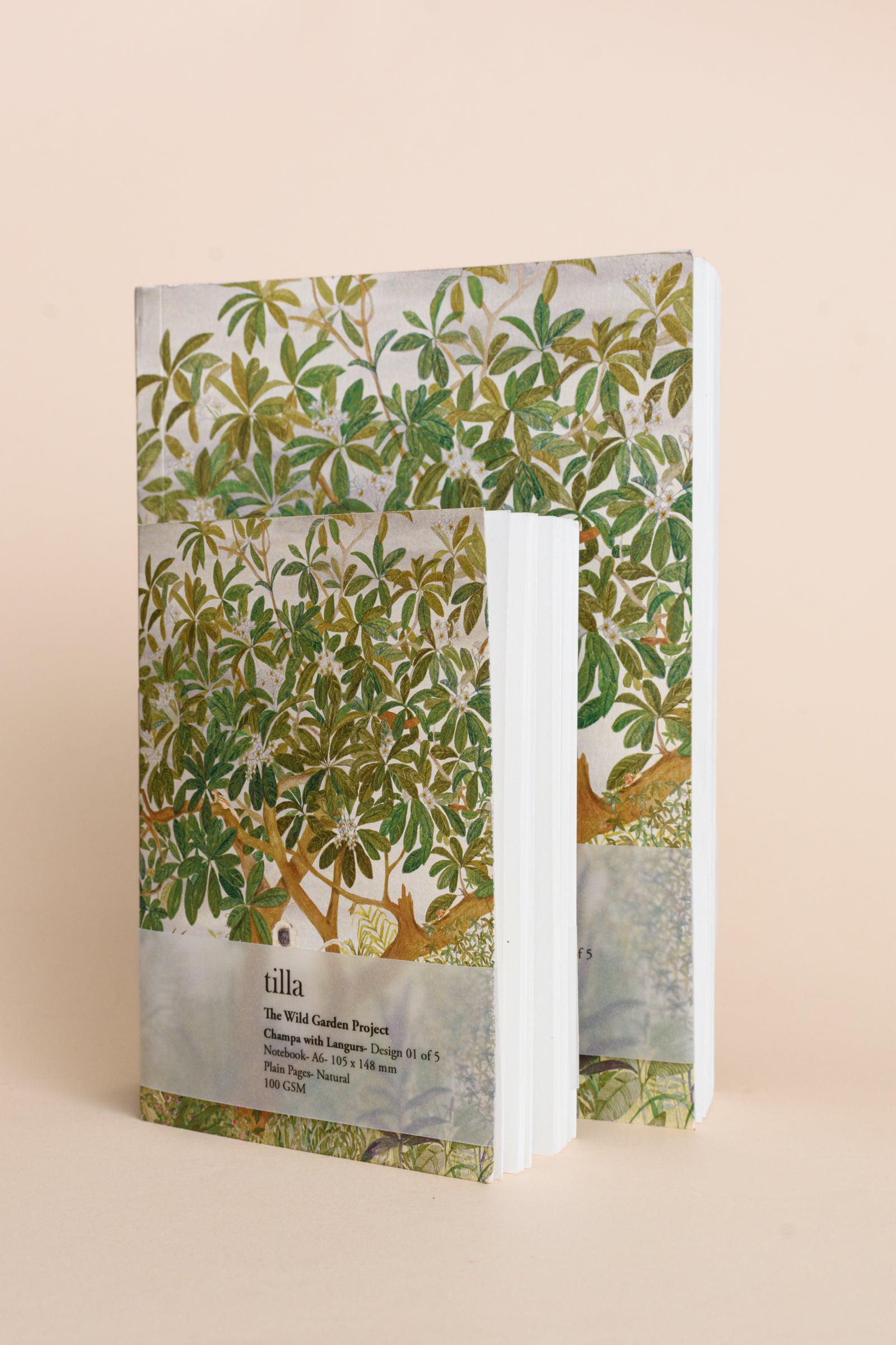 Champa with Langurs | Notebook