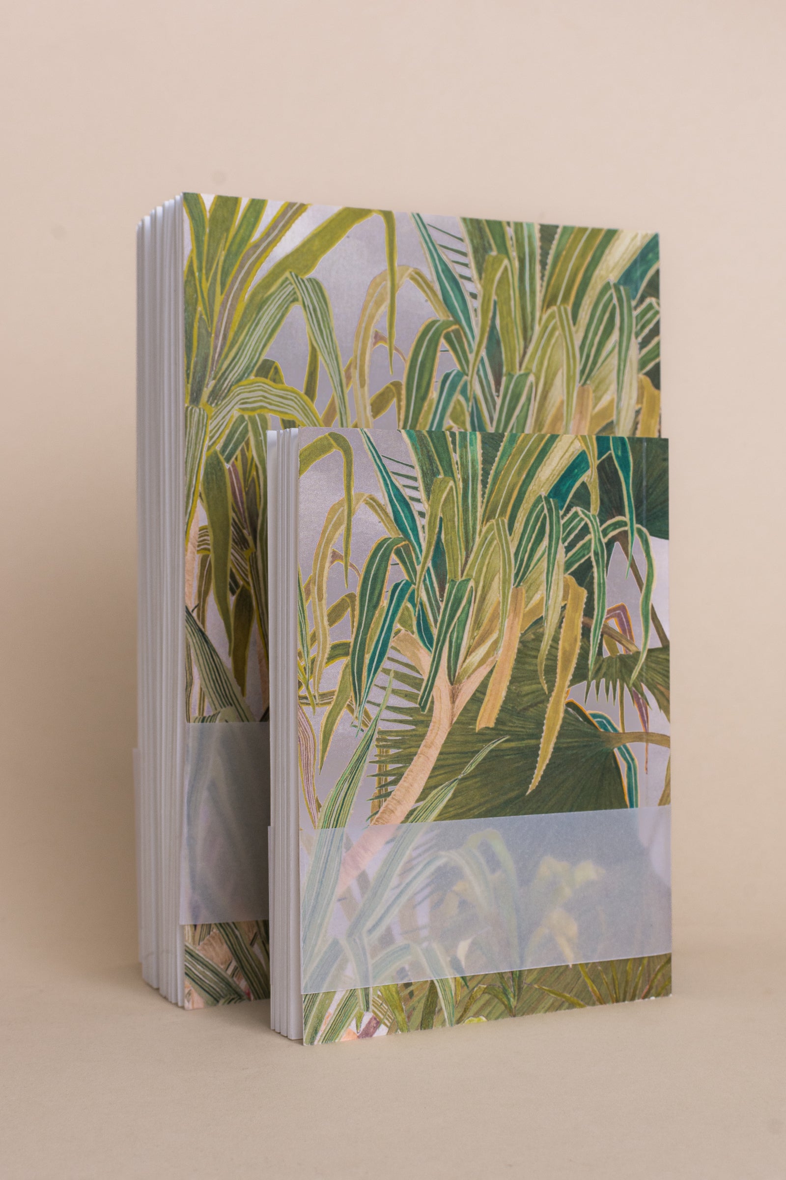 Fan Palm with Pandanus | Notebook