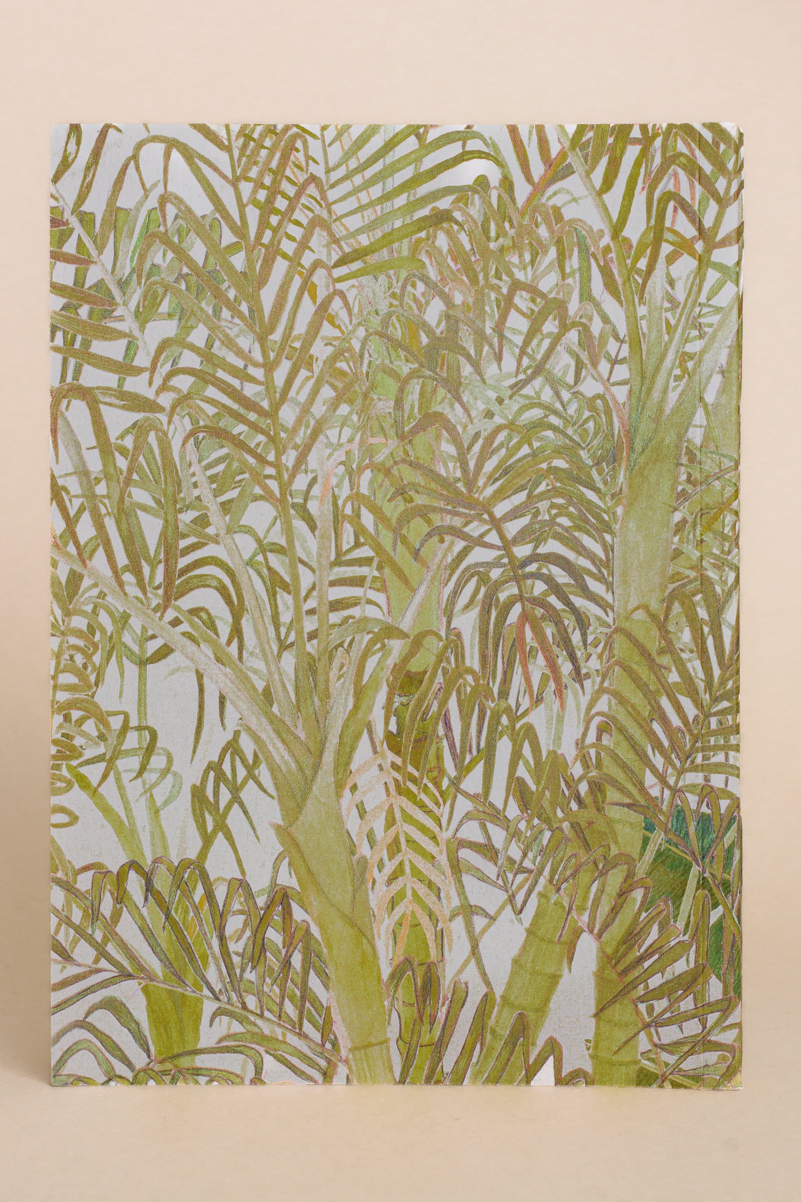 Areca Palm | Notebook
