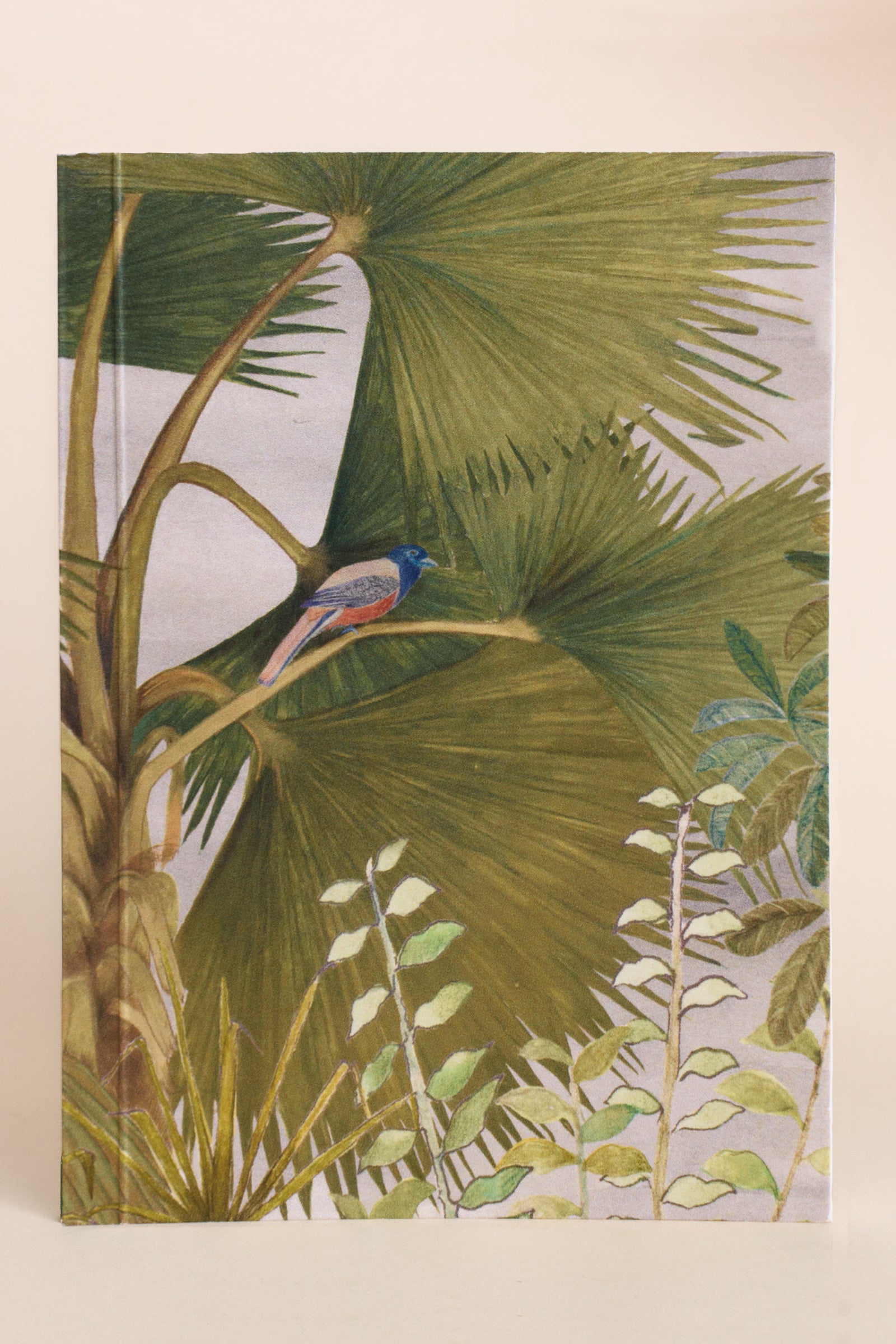 Fan Palm with Pandanus | Notebook