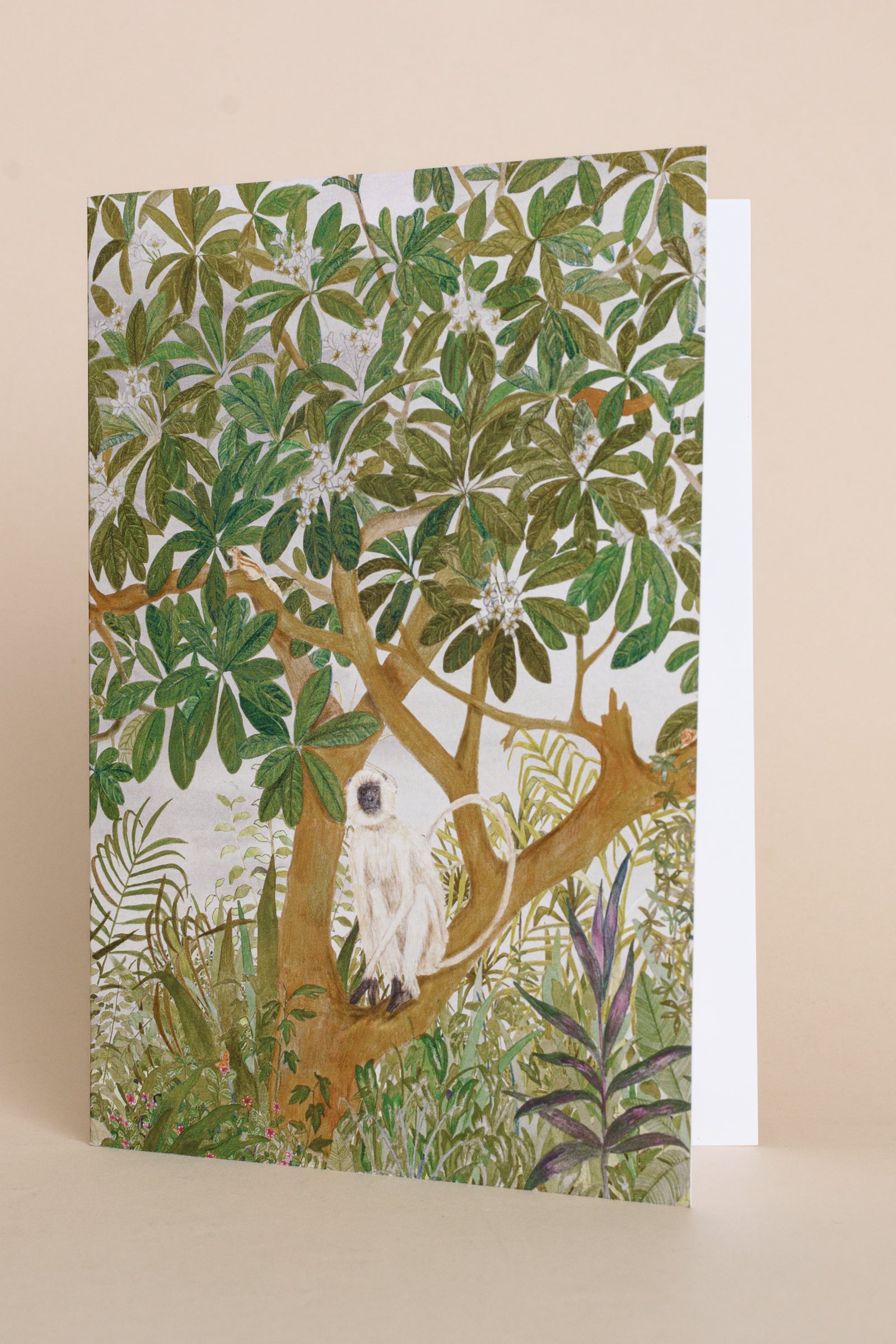 Greeting Cards | Set of 6