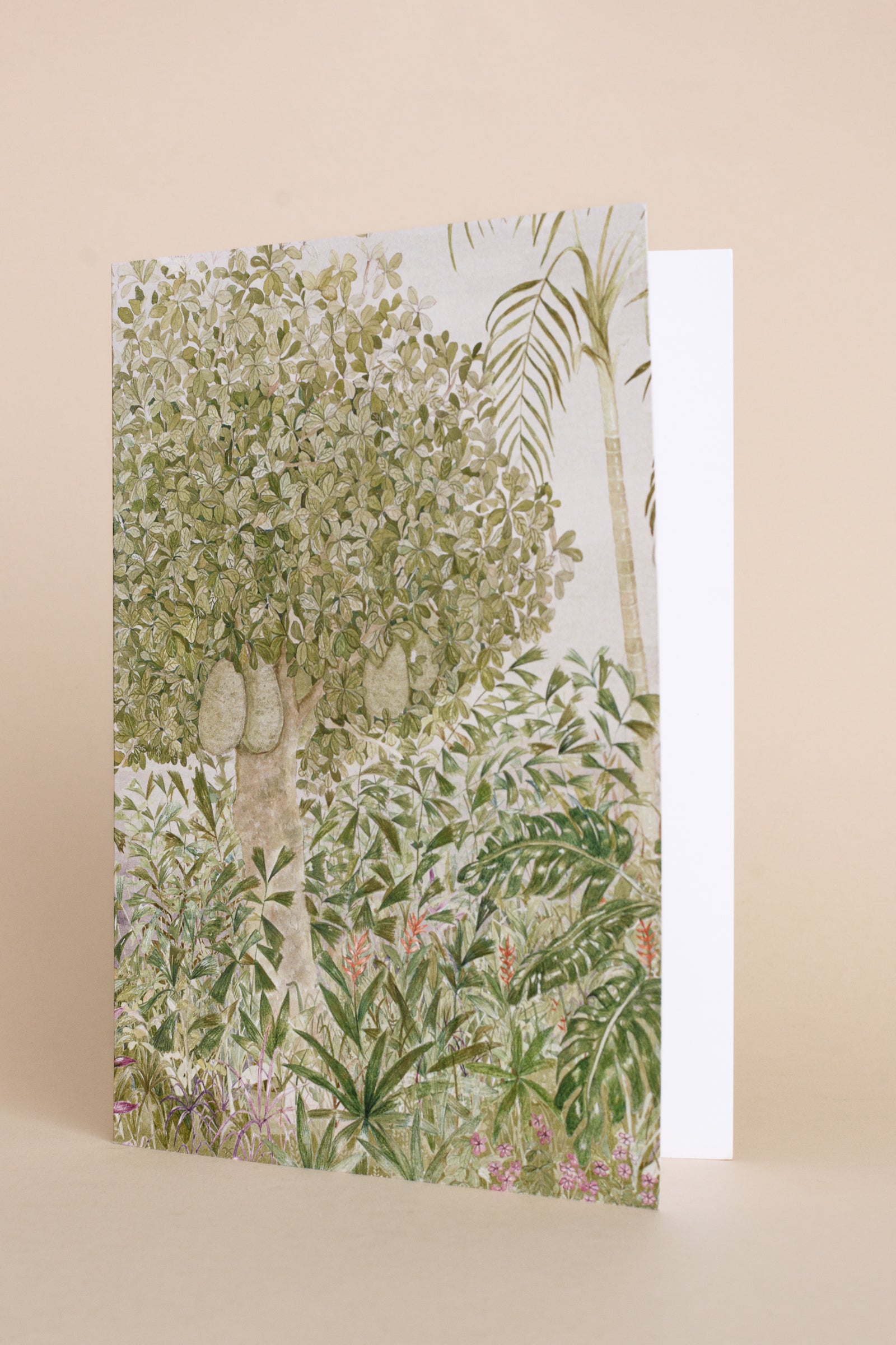 Greeting Cards | Set of 6