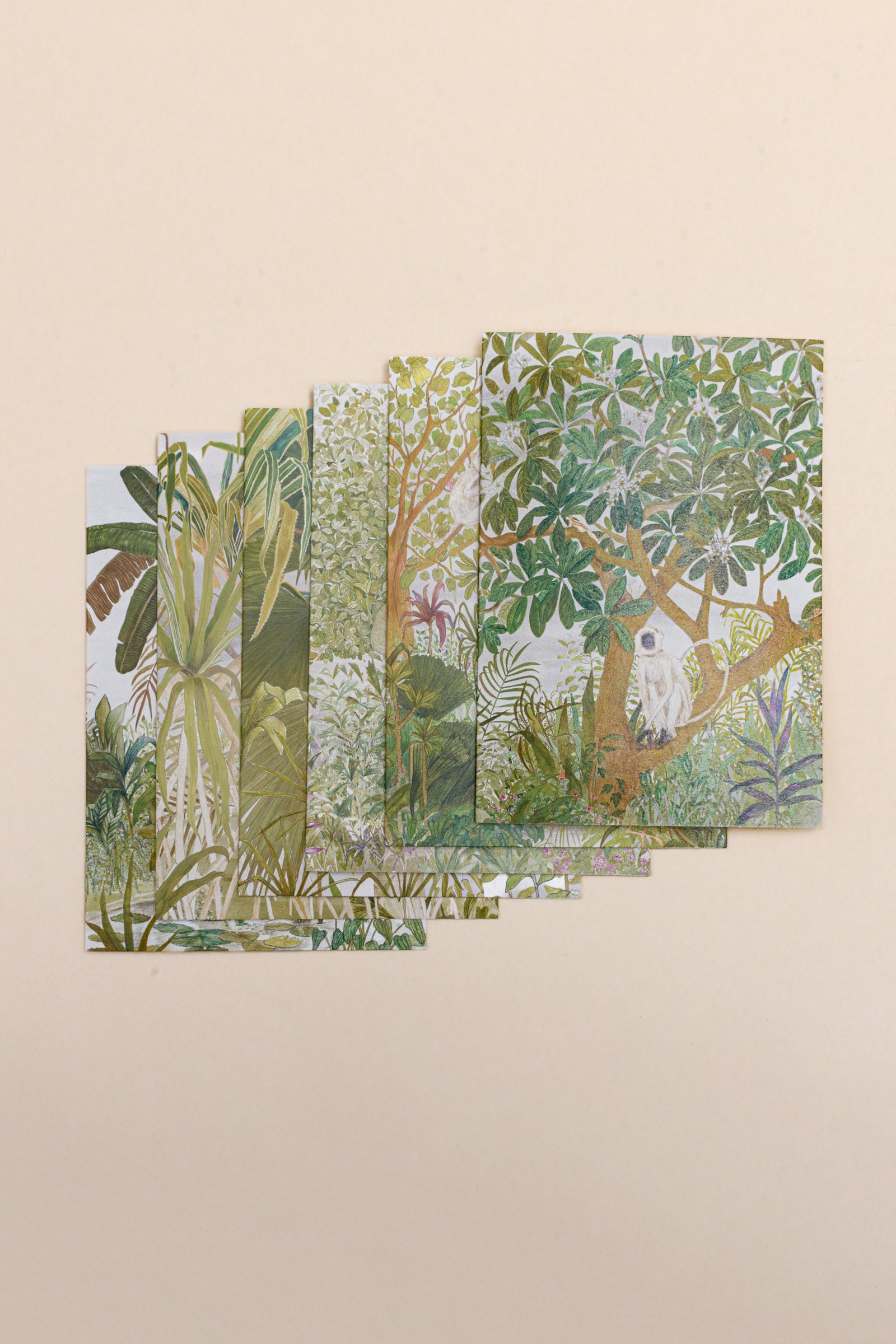 Greeting Cards | Set of 6