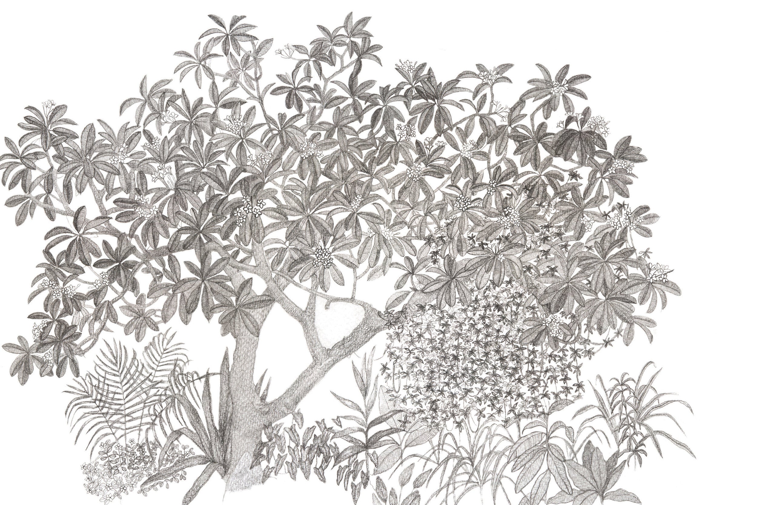 Wildgarden Wallpaper | Monochrome