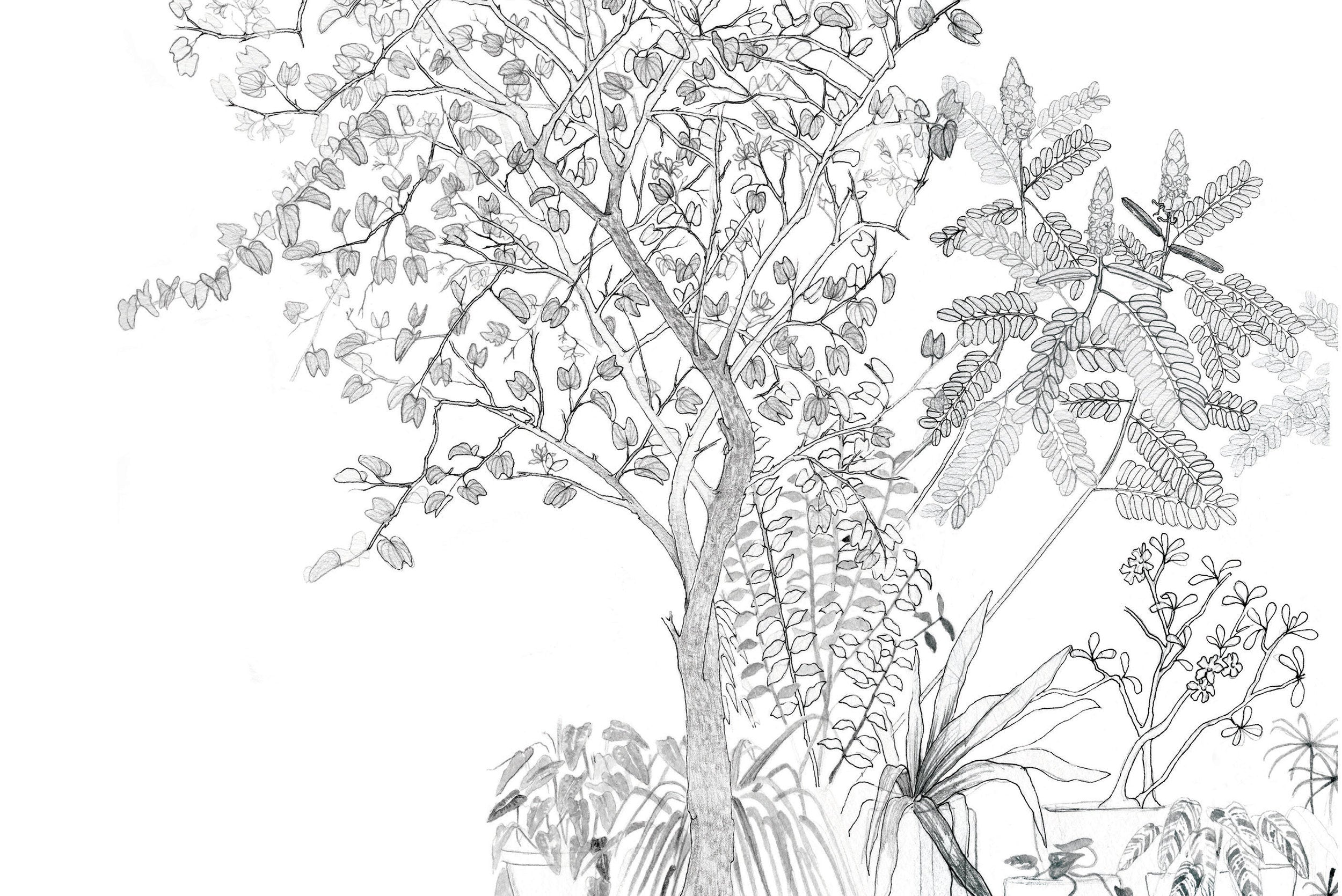 Wildgarden Wallpaper | Monochrome
