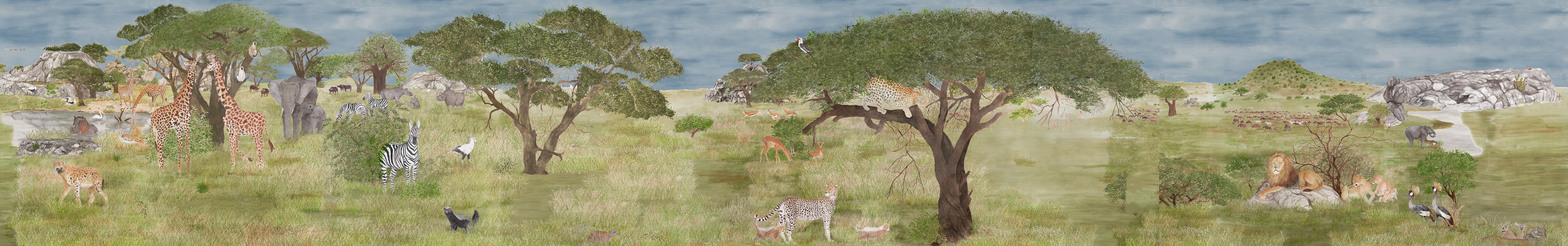 Scenes from the Serengeti