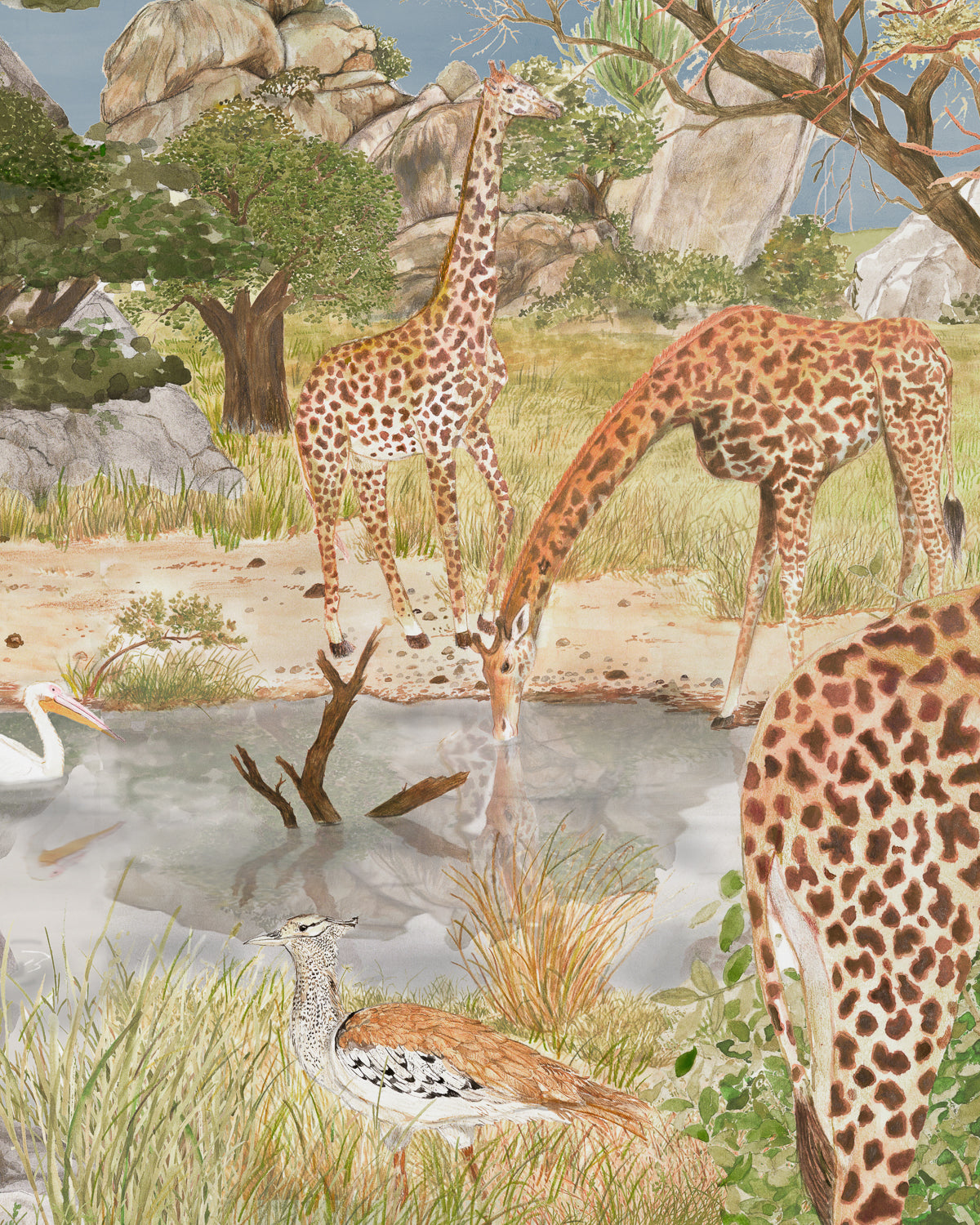 Scenes from the Serengeti